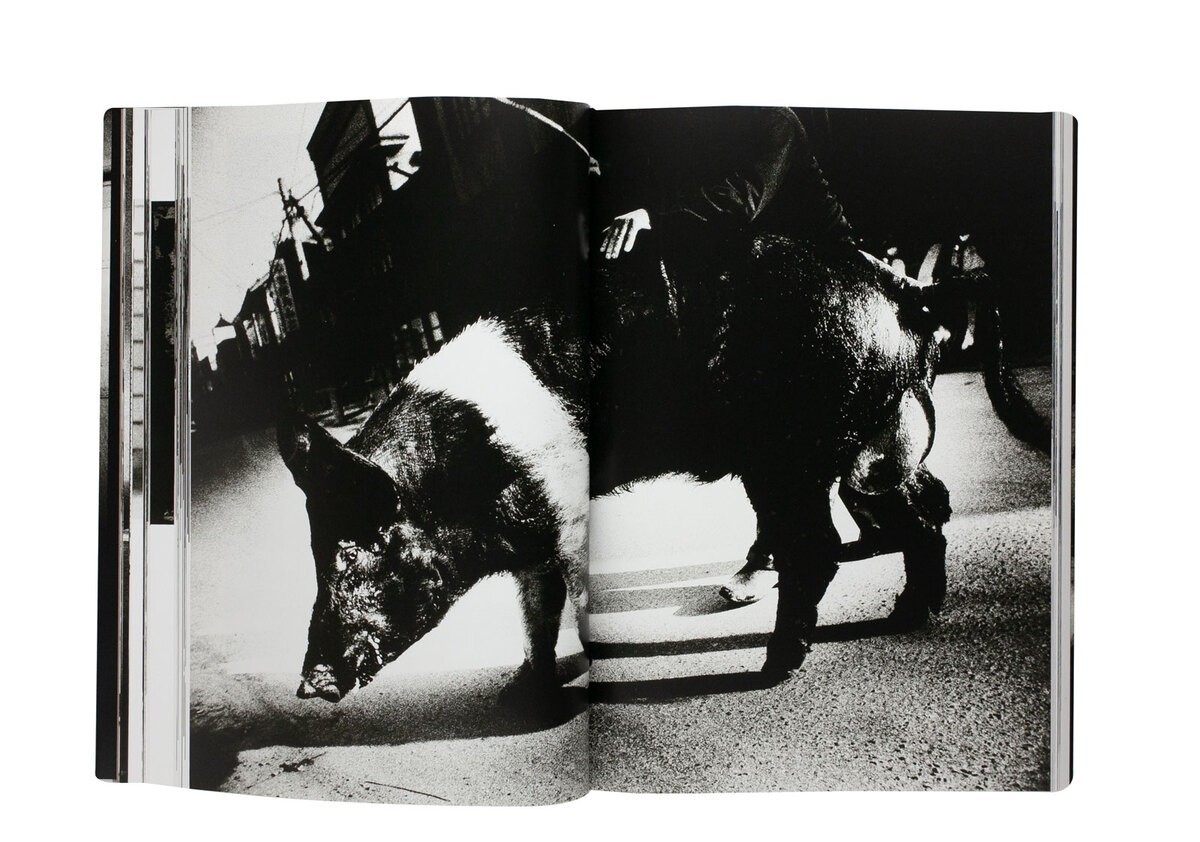 Daido Moriyama Memories of Light Photographer Photo Art Collection Book