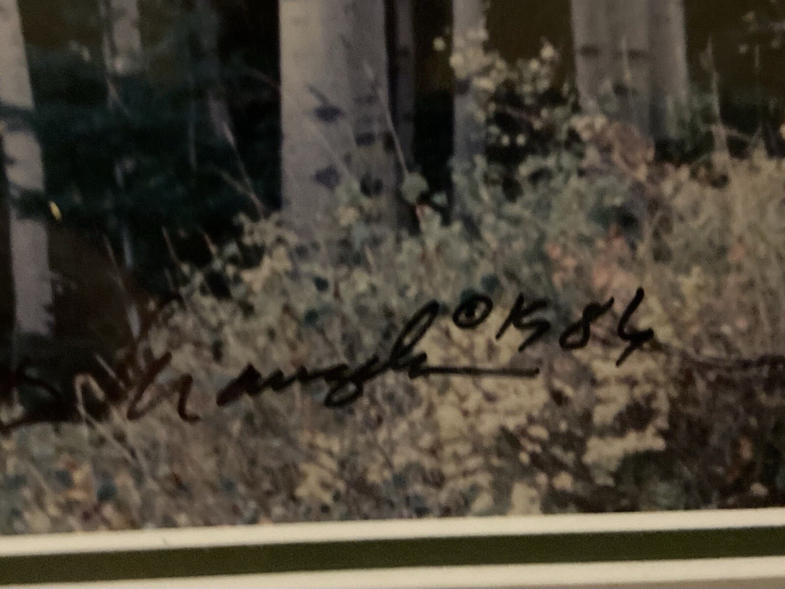 THOMAS D MANGELSEN Original Photograph