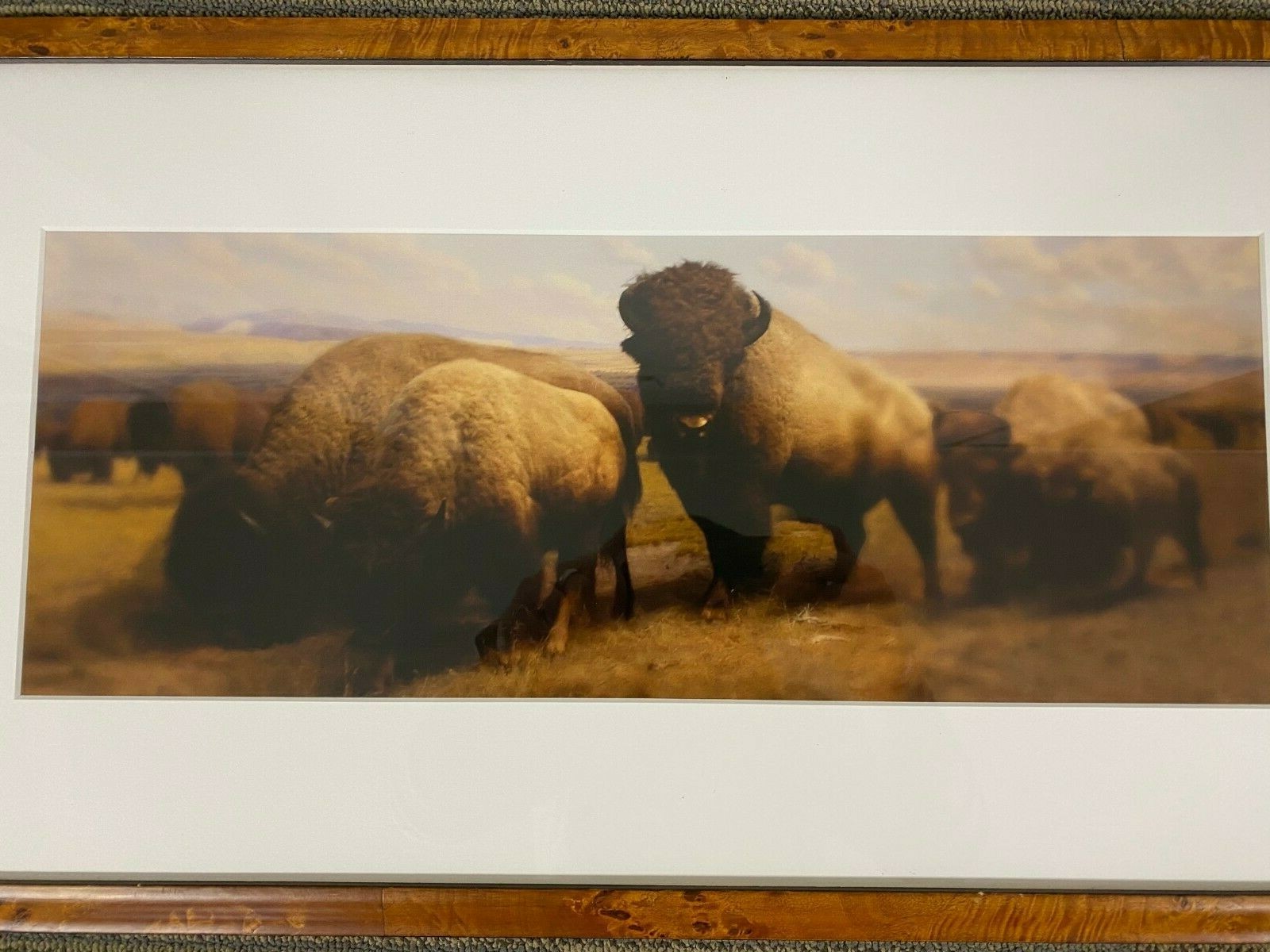 Jonathan Singer “Buffalo” 2006/2008 Edition 3/10 Inkjet Print in Wood Frame
