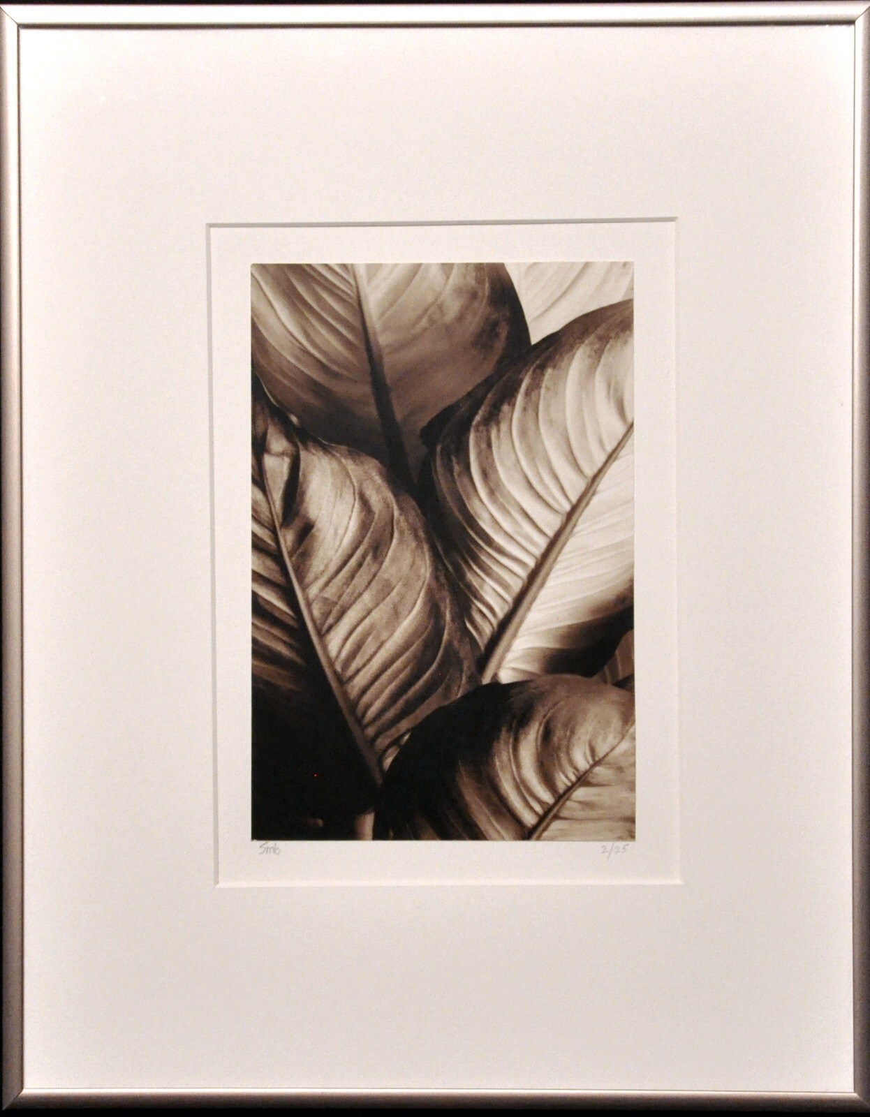 Steven Michael Bogdonas | “Leaves # I ” (2002) Original Hand-Printed Photo