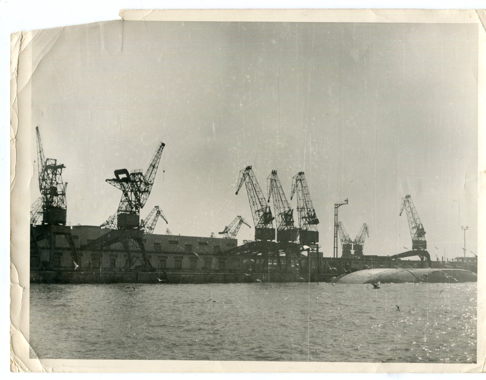 Old photo Swedish ship sinks in Genoa, 17x22cm