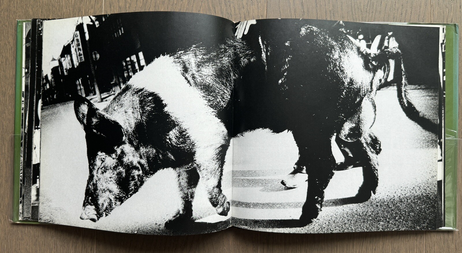 🎈SIGNED! Daido Moriyama / Japan a Photo Theater II 1978, 1st Ed, Great SupRARE