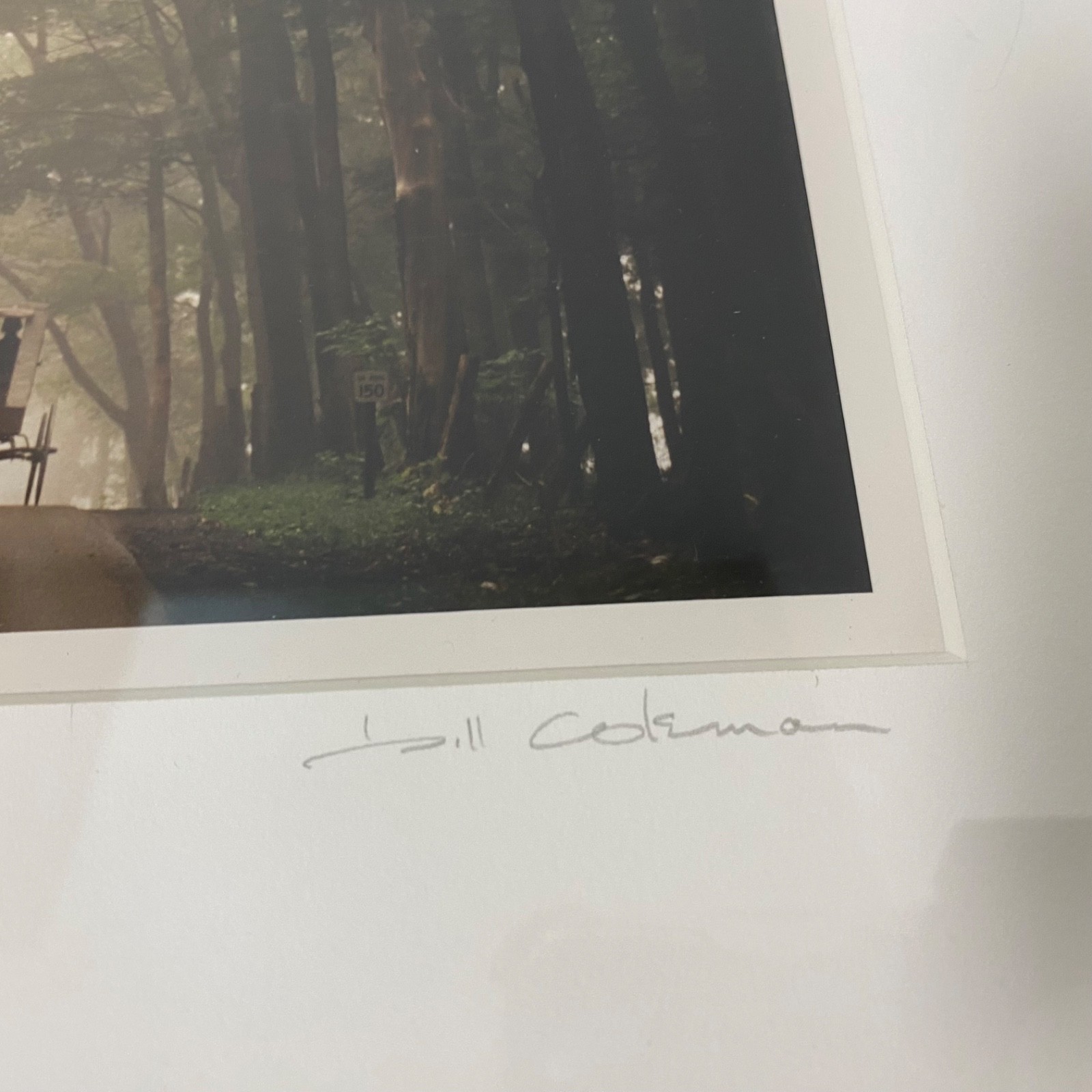 Bill Coleman Amish No 998 • Signed Artist Proof Framed Color Photograph • Buggy