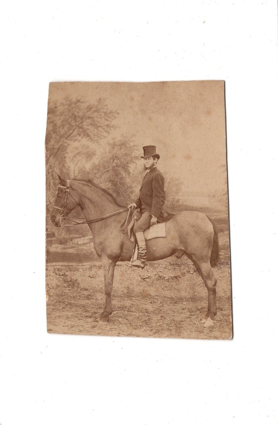 Rottmayer CDV Photo Fine Man on a Horse / Named – Trieste Trieste 1870s