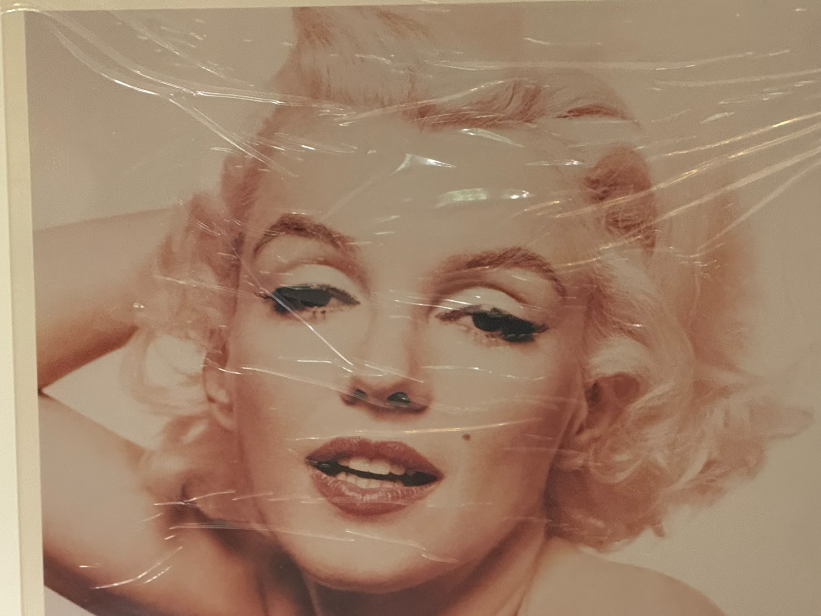 Bert Stern “The Last Sitting” Marilyn Monroe Photograph 20″x24″ Signed 148/250