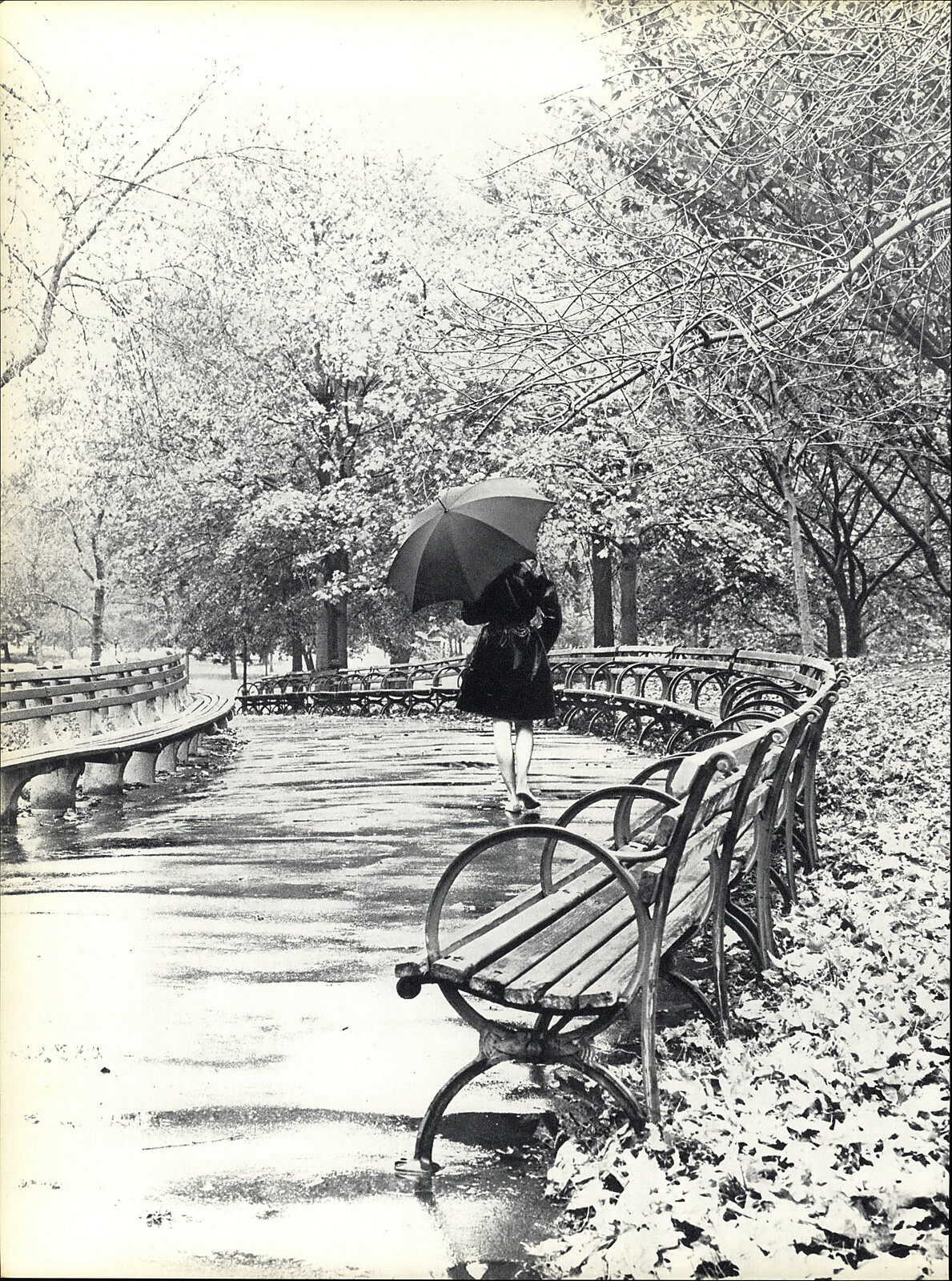 1966 Wingate Paine Female Stroll in the rainy Park Art Photo Photogravure 16×20