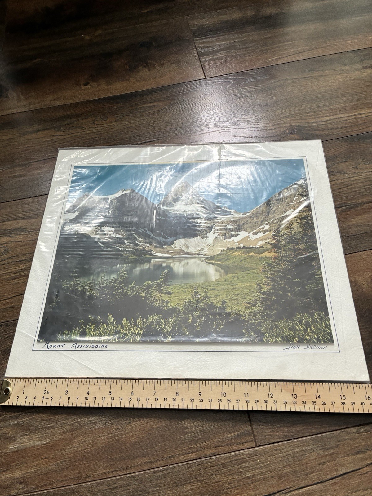 Photo Don Harmon Signed ‘Mount Assiniboine’ Photograph (11”x14”) 14”T 16”W