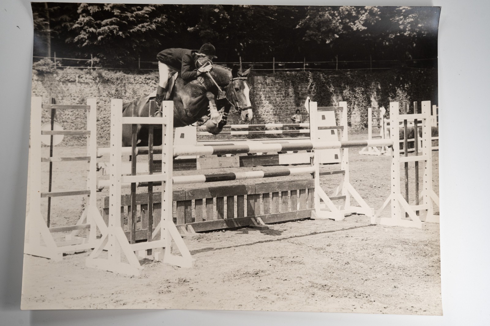 Film Photo France Equestrian Horse Show Jumping 1970 30X40CM