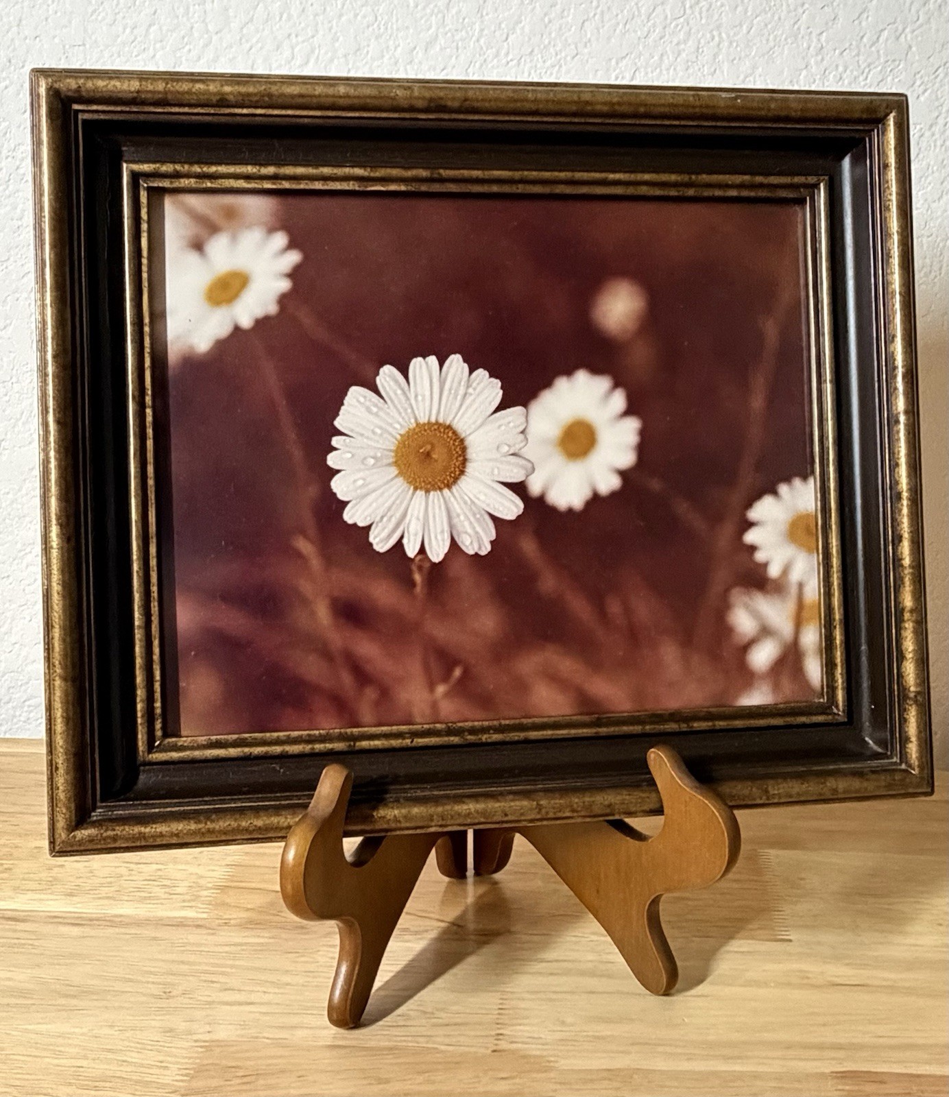 Vintage MCM 8×10 Framed Still Life White Daisy