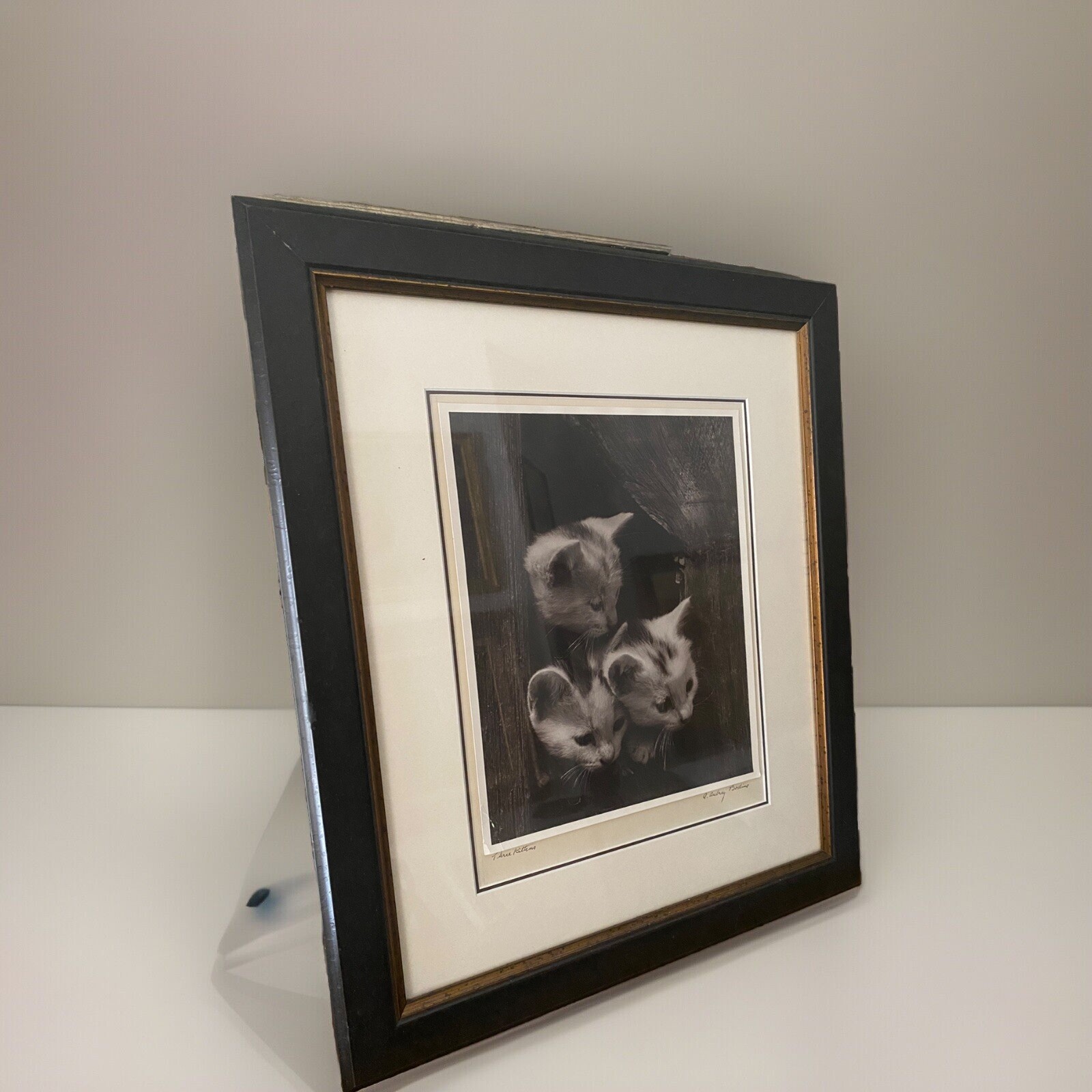 A. Aubrey Bodine American Silver Gelatin Photo Exhibited Maryland Baltimore