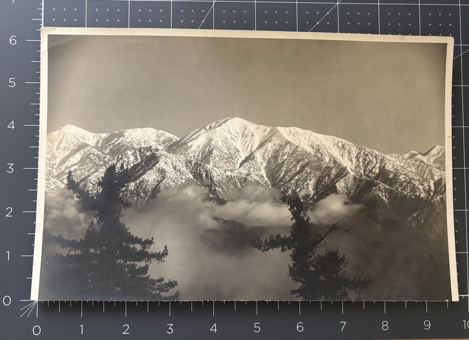 Incredible Original Ferdinand Elllerman Photograph Mount Baldy From MT Wilson
