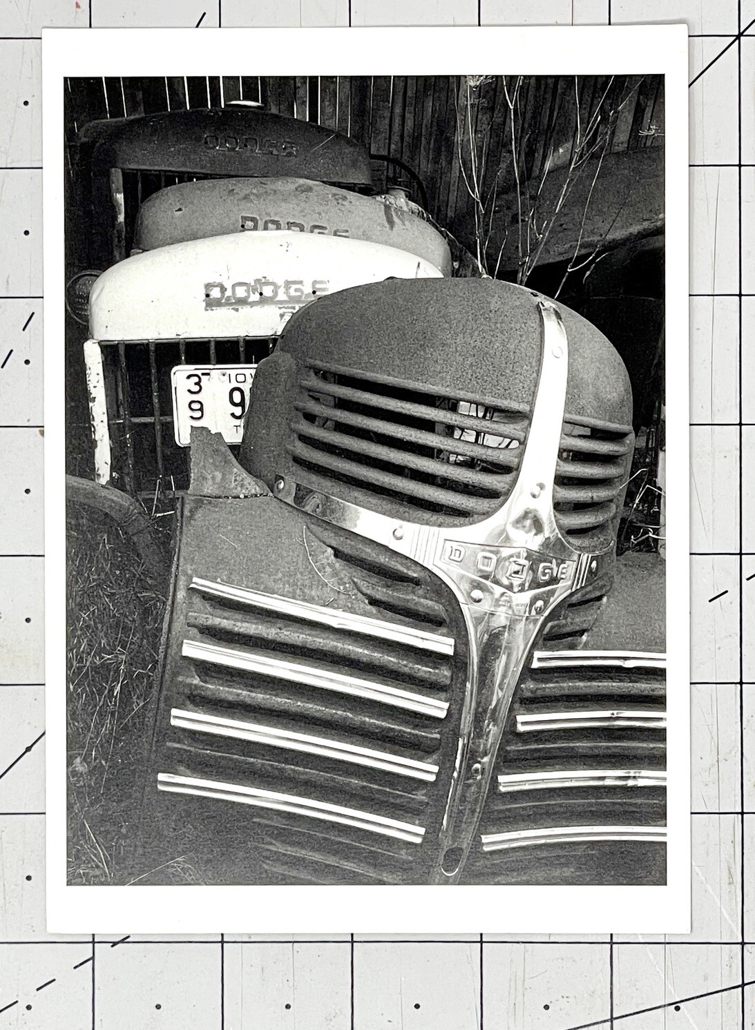 Michael Johnson Photography Show Announcement Card 1994 – Recent Work – Dodge