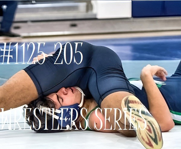 MALE PORTRAIT #1125-205 -athletes series- wrestlers series -free shipping in usa