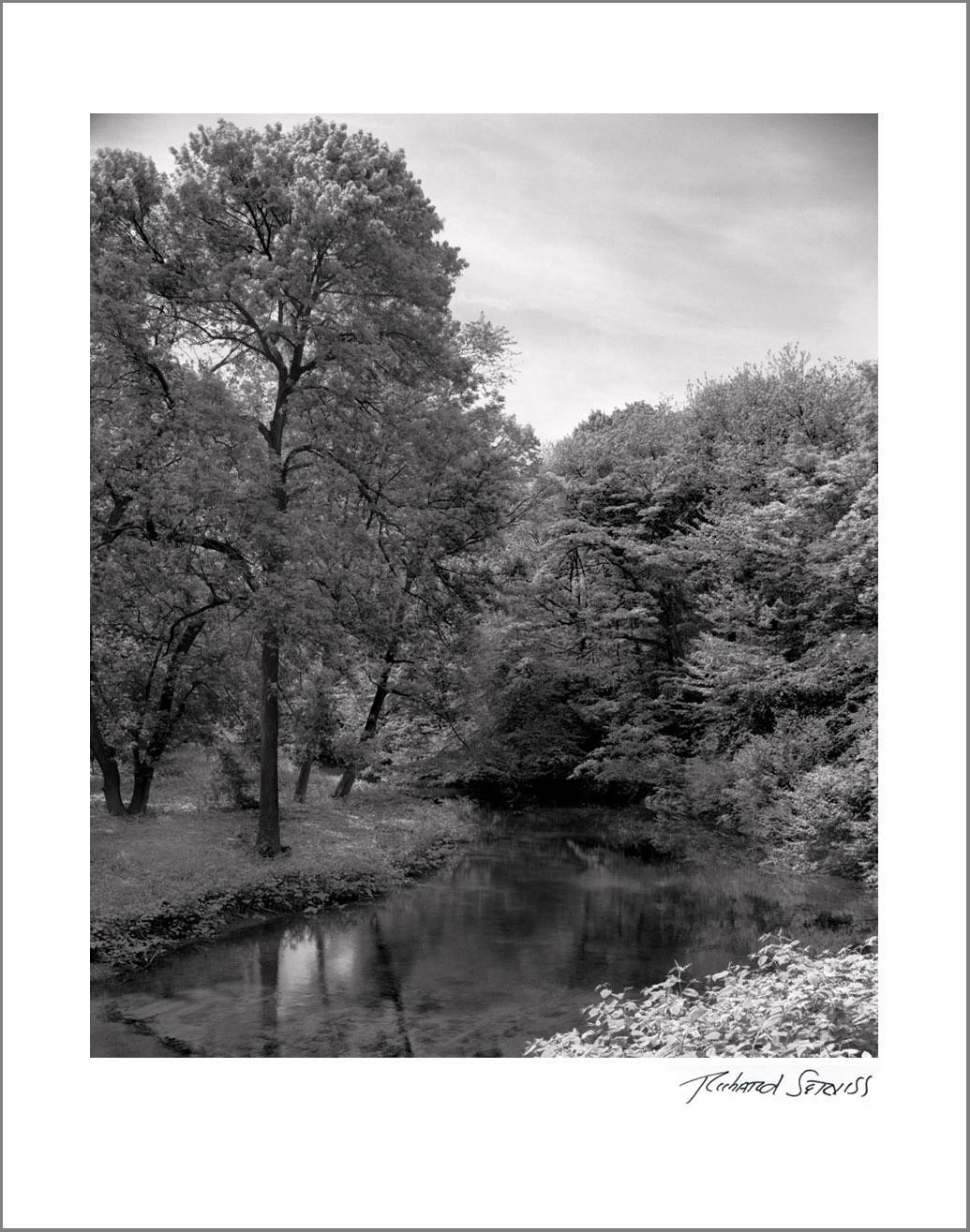 New York City Nature – 11×14” Print – Signed by Photographer Richard Serviss