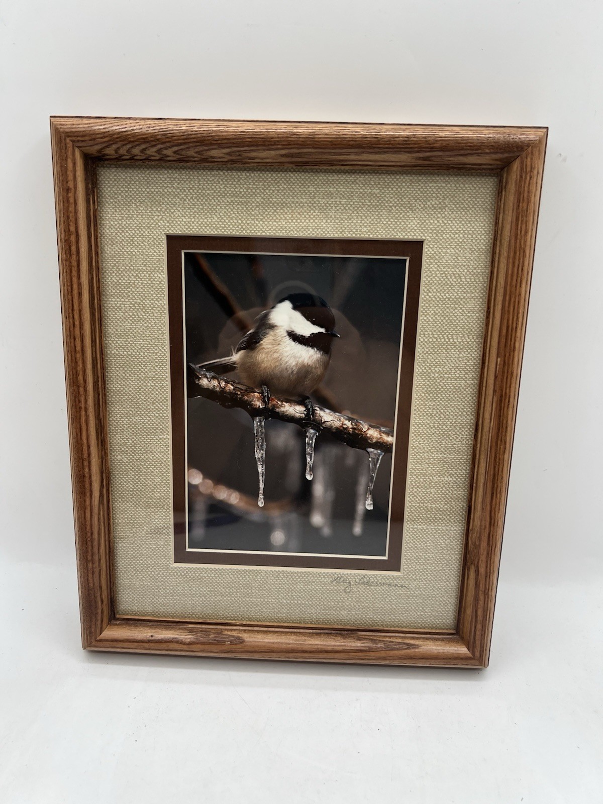 Chickadee On A Branch Original Photography Wooden Framed Signed Greg Ledermann