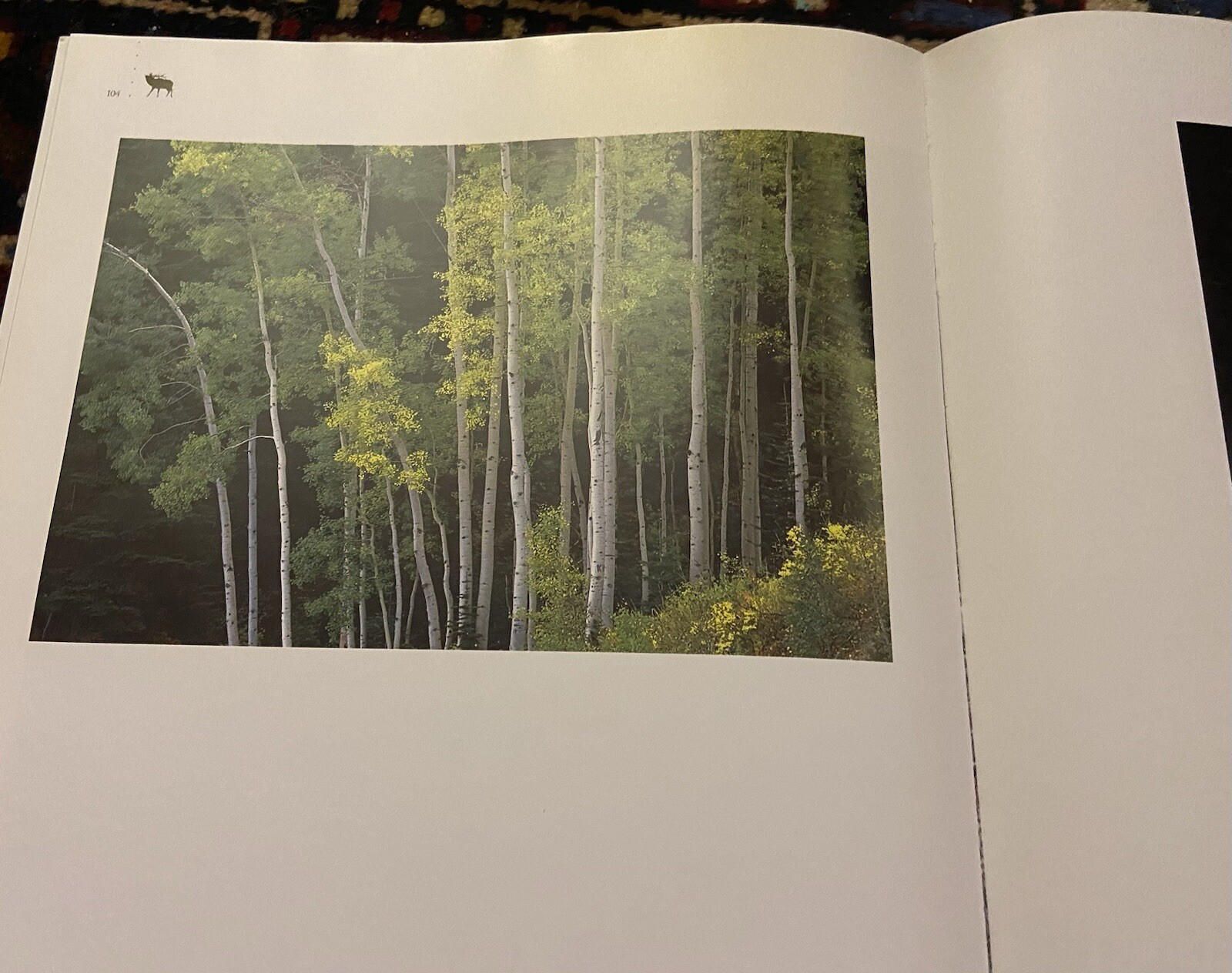THOMAS D MANGELSEN Original Photograph