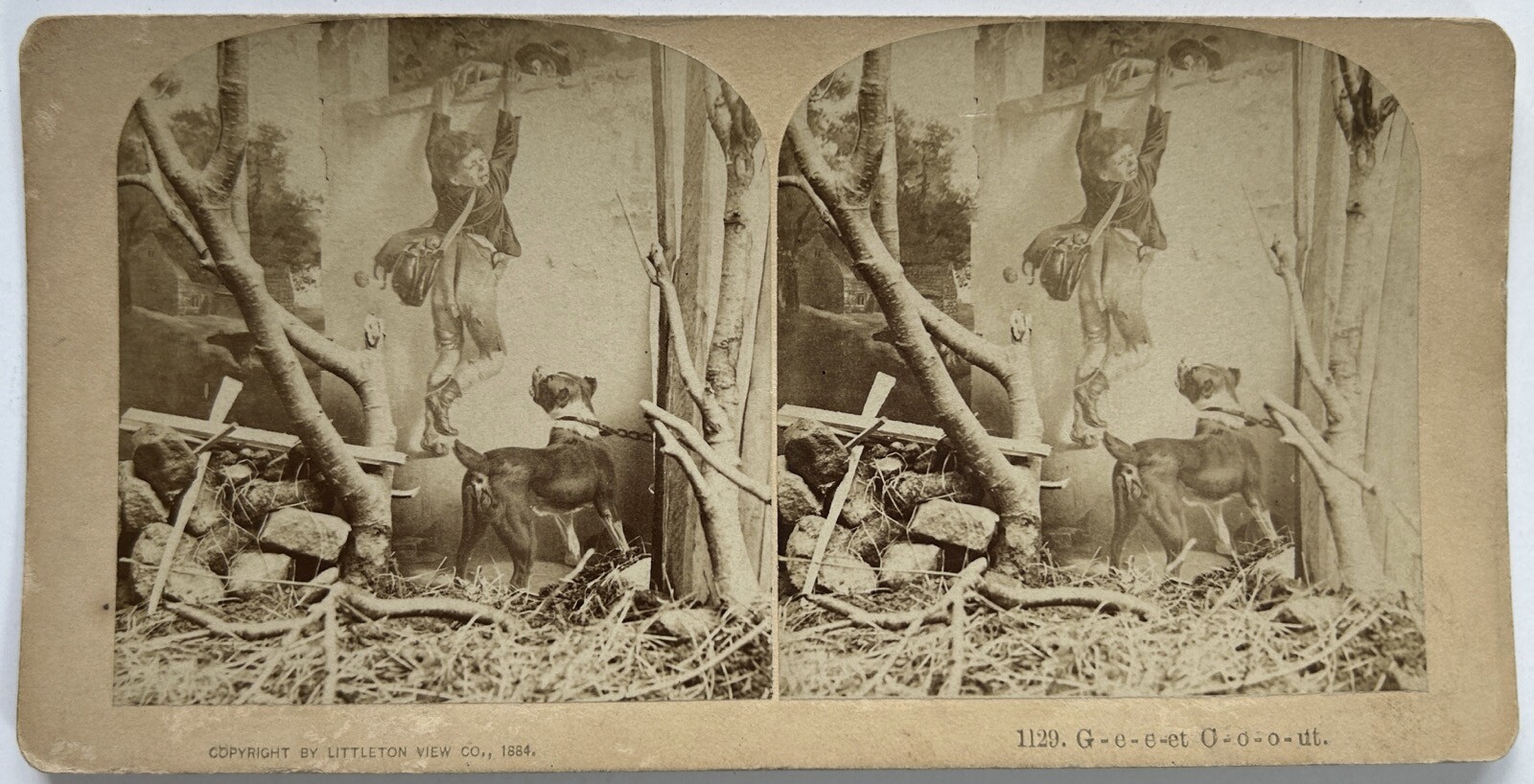 The Fear Of The Dog, Genre Scene 1884 Photo Littleton Stereo Vintage Album