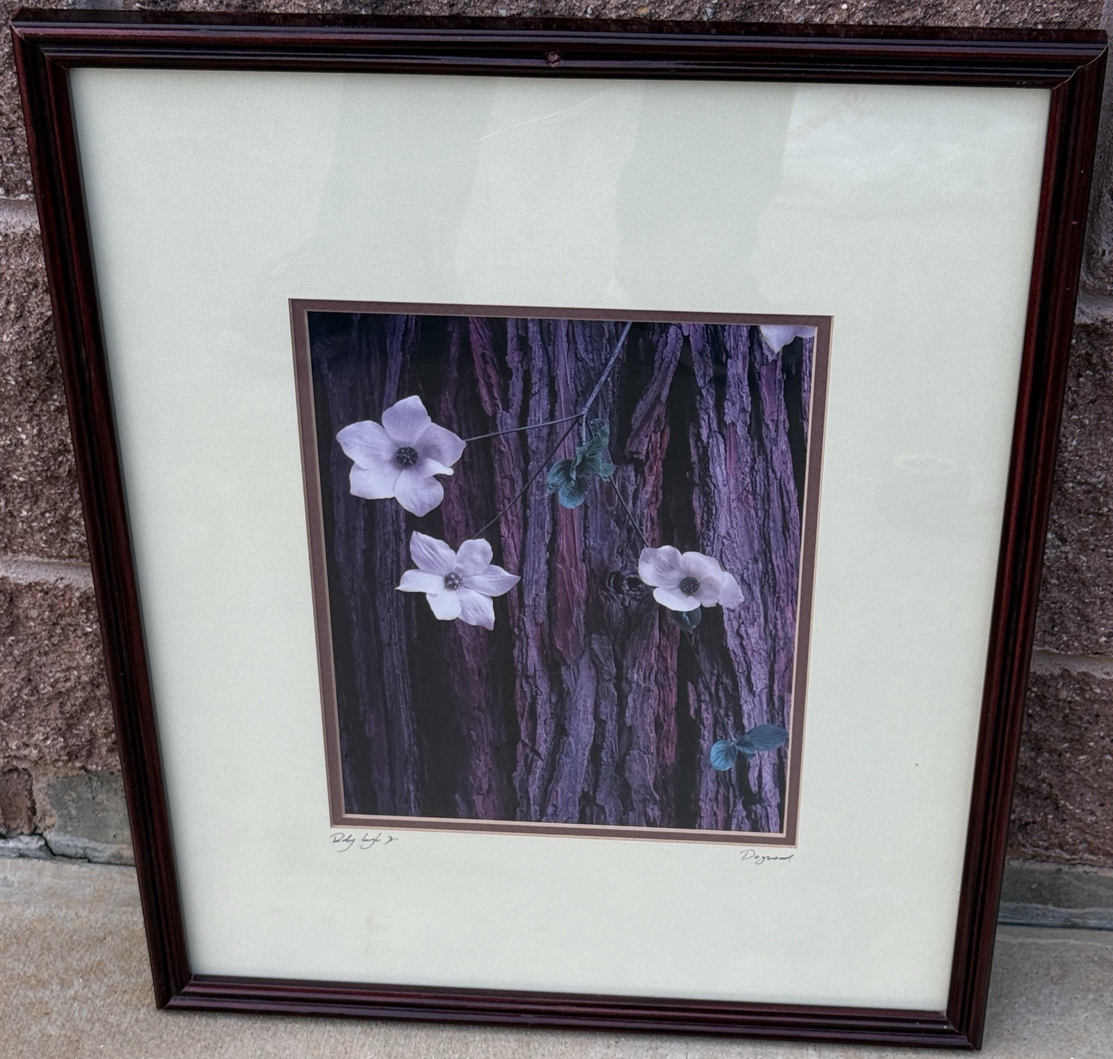 Dogwood Rodney Lough Jr Wilderness Collection Landscape Photography 21.25x 17.25