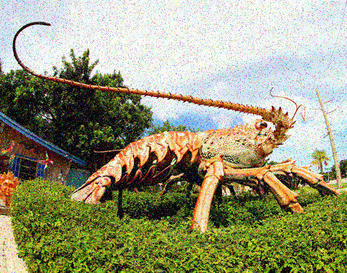8 1/2 x 11 ” HI RES COLOR PHOTO WORLD’S BIGGEST LOBSTER ISLAMORADA FLORIDA 30 FT