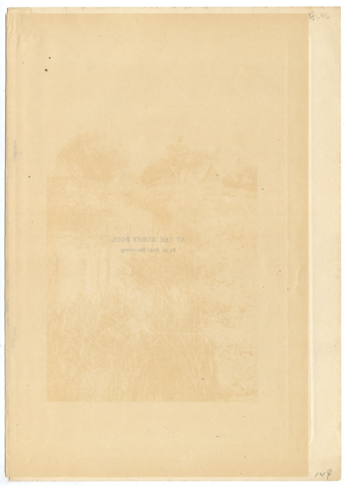 Hugo Henneberge “At the Rushy Pool” c.1897, Camera Notes Vol 1 No 2 Photogravure