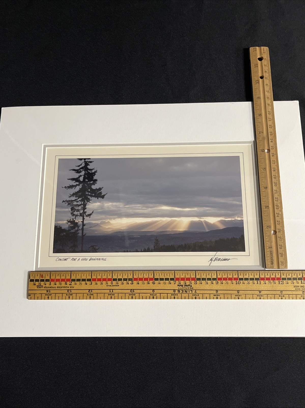 12″ x 16″ Concert for a New Beginning By Mark Bergsma Fine Art Photograph