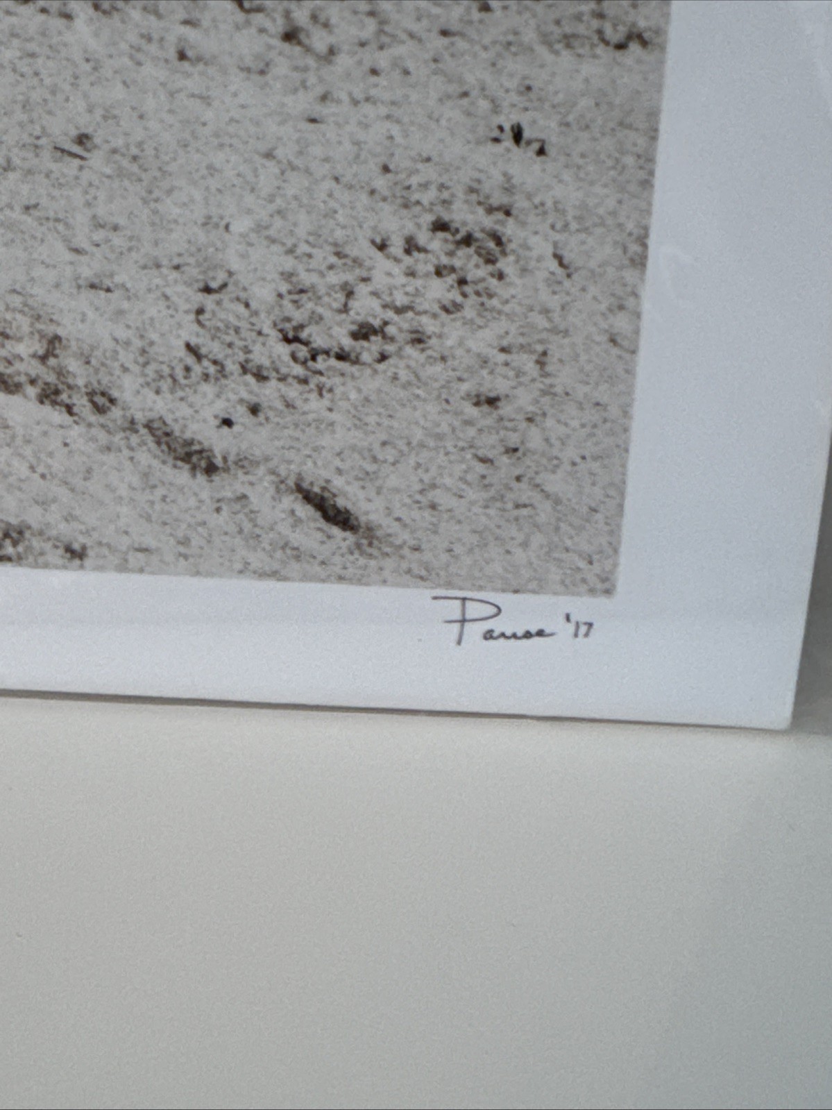 Signed David Parise Photograph Vintage Barbie Surfing at the Beach 13×19” 2017