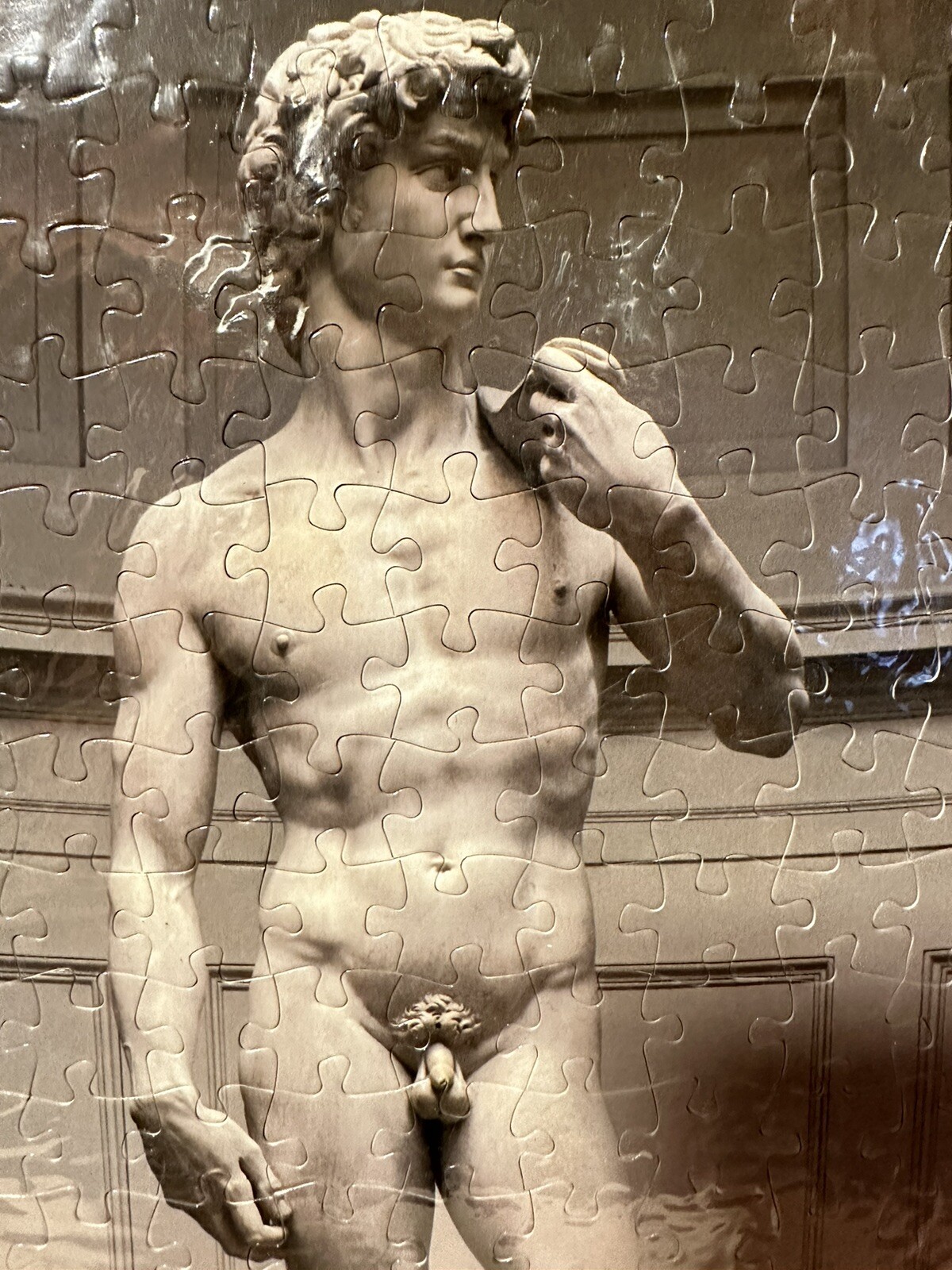 ACADEMY Florence, Italy – Michelangelo DAVID, Original 221pc Puzzle From Museum