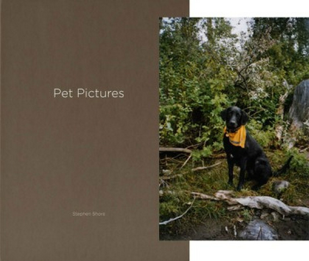 STEPHEN SHORE: Pet Pictures SIGNED Photo w/ Ltd Edition Book One Picture #73 NEW