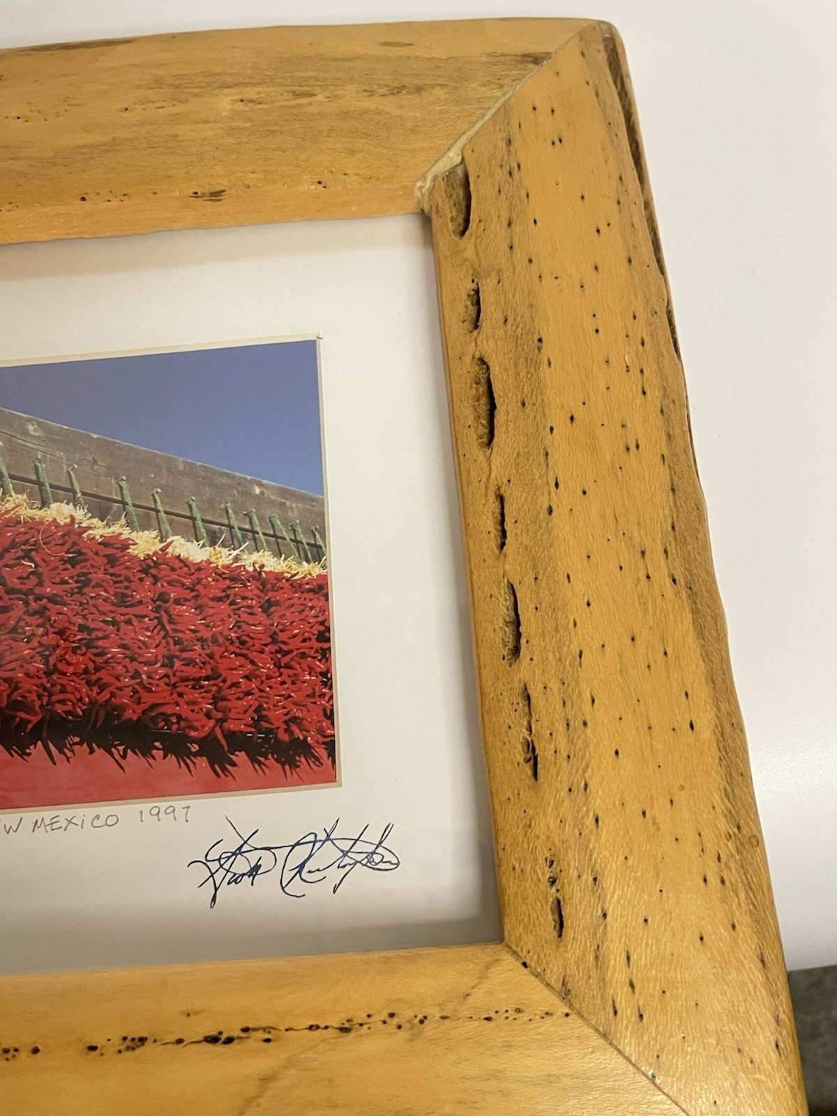 Chili Harvest New Mexico Photograph 1997 Scott Elizabeth Christopher Framed