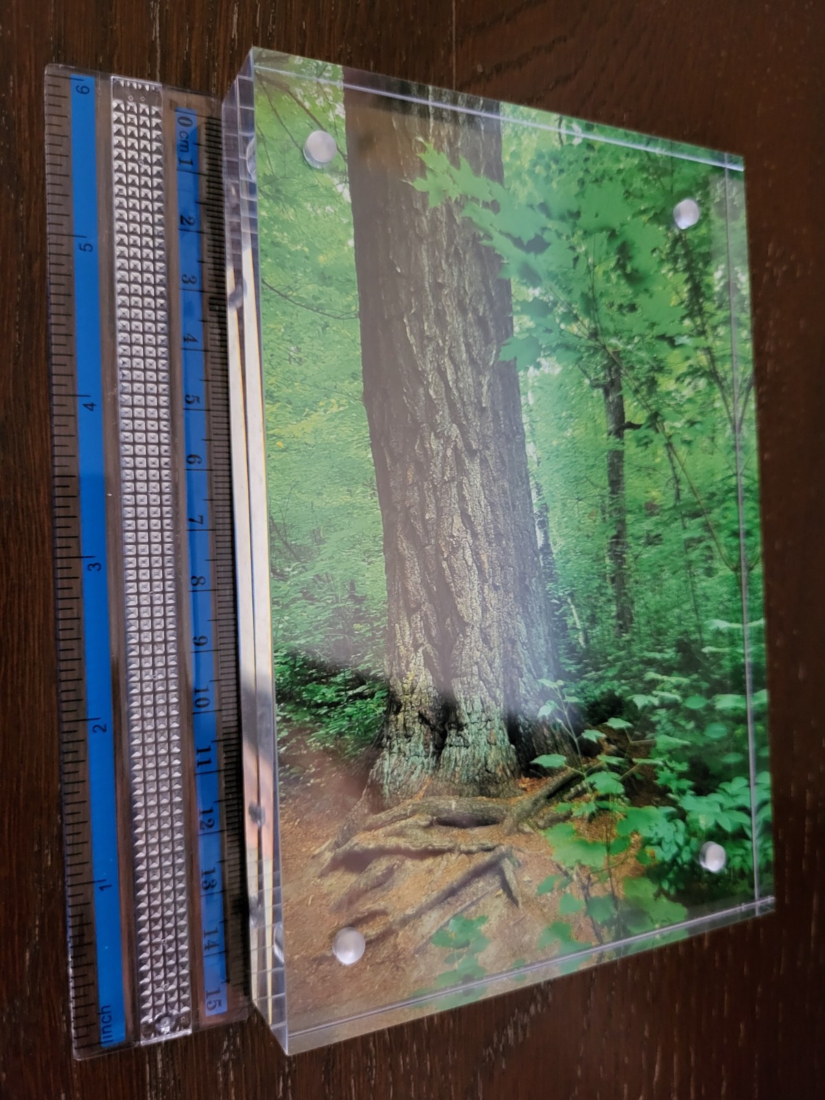 KUMAphotography – “Lost 40″ – Matte Print 4″x6” – in Acrylic Frame