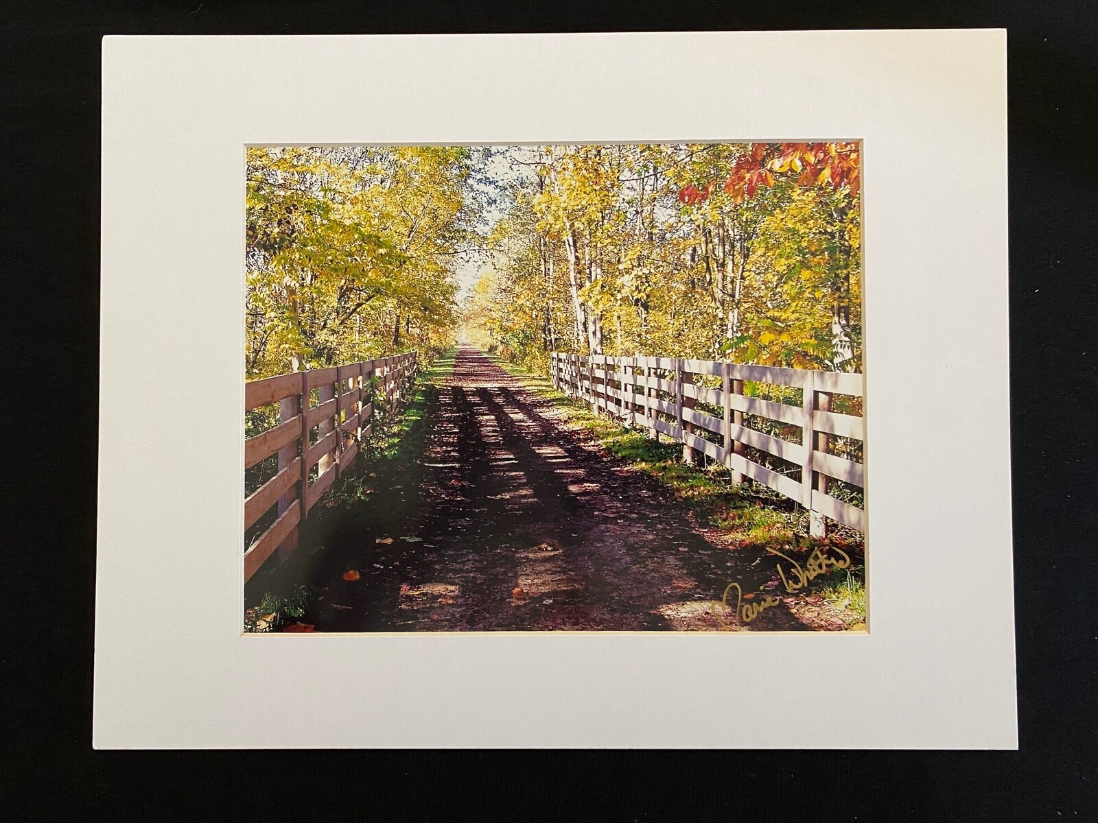 11 X 14 Matted Photo -signed by photographer Marie Whitton-One Lane Rd -Autumn