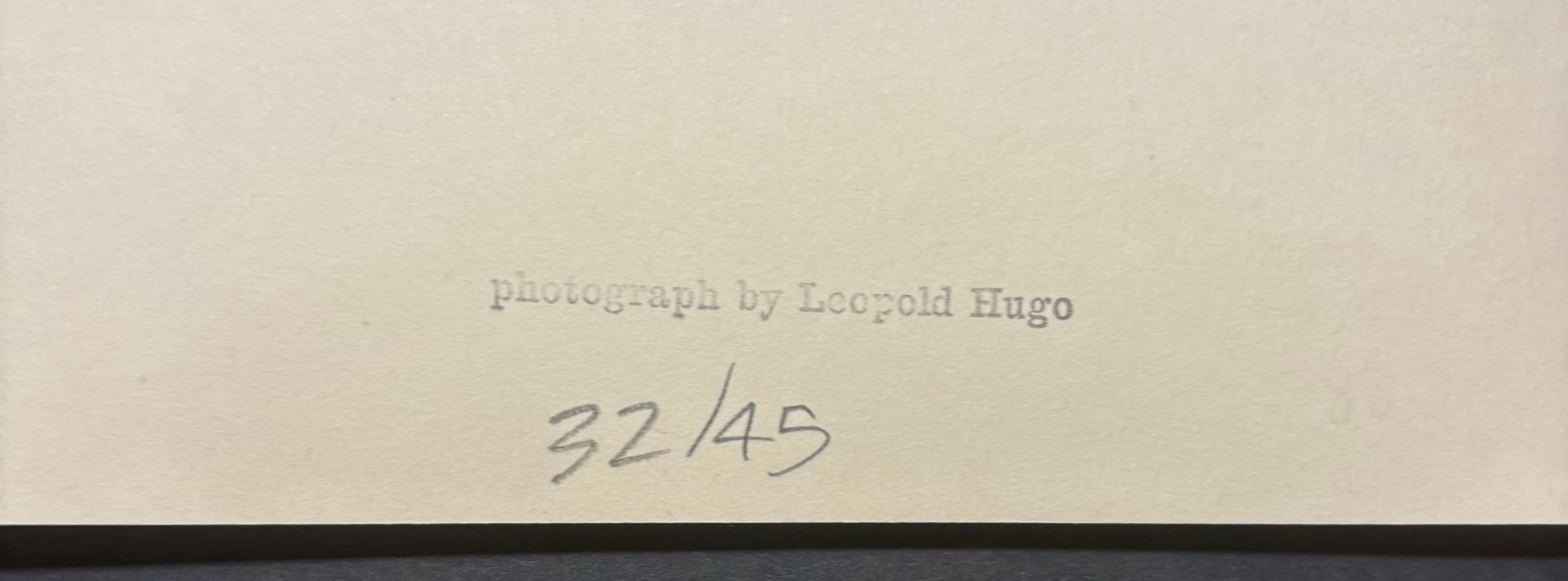 Original LEOPOLD HUGO Solitary Torrey Pine OCEAN CALIFORNIA Pictorialism PHOTO