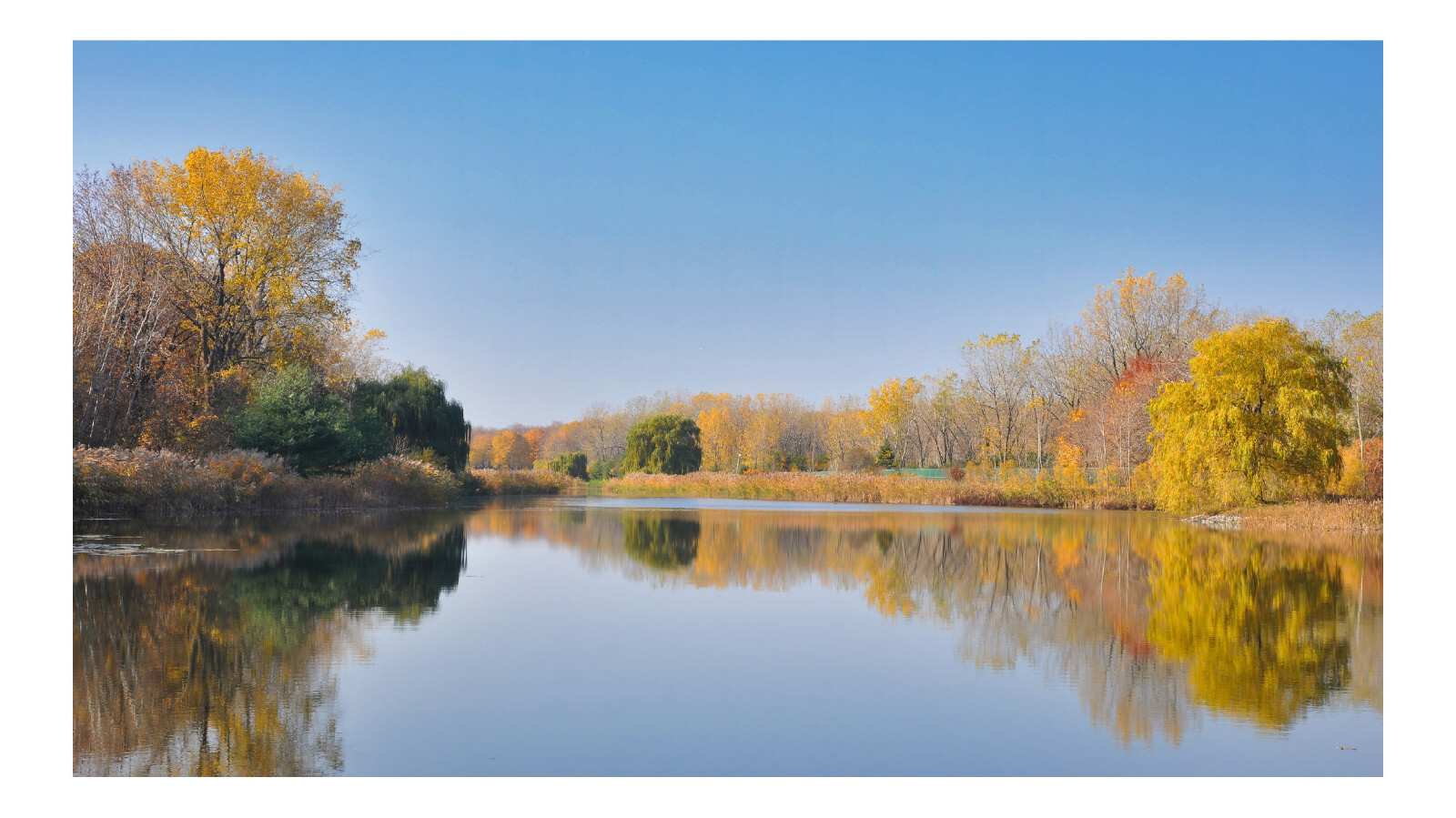 Fall Trees Water Reflection, High Resolution Image, Many Formats, TV Art