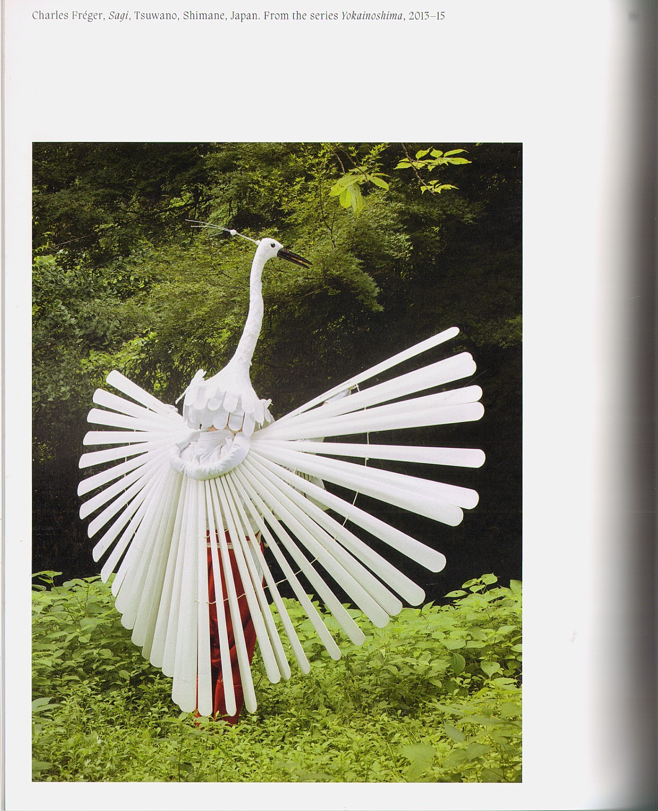 AVIARY: The Bird in Contemporary Photography by Ewing/Exquisite images/NEW/HB