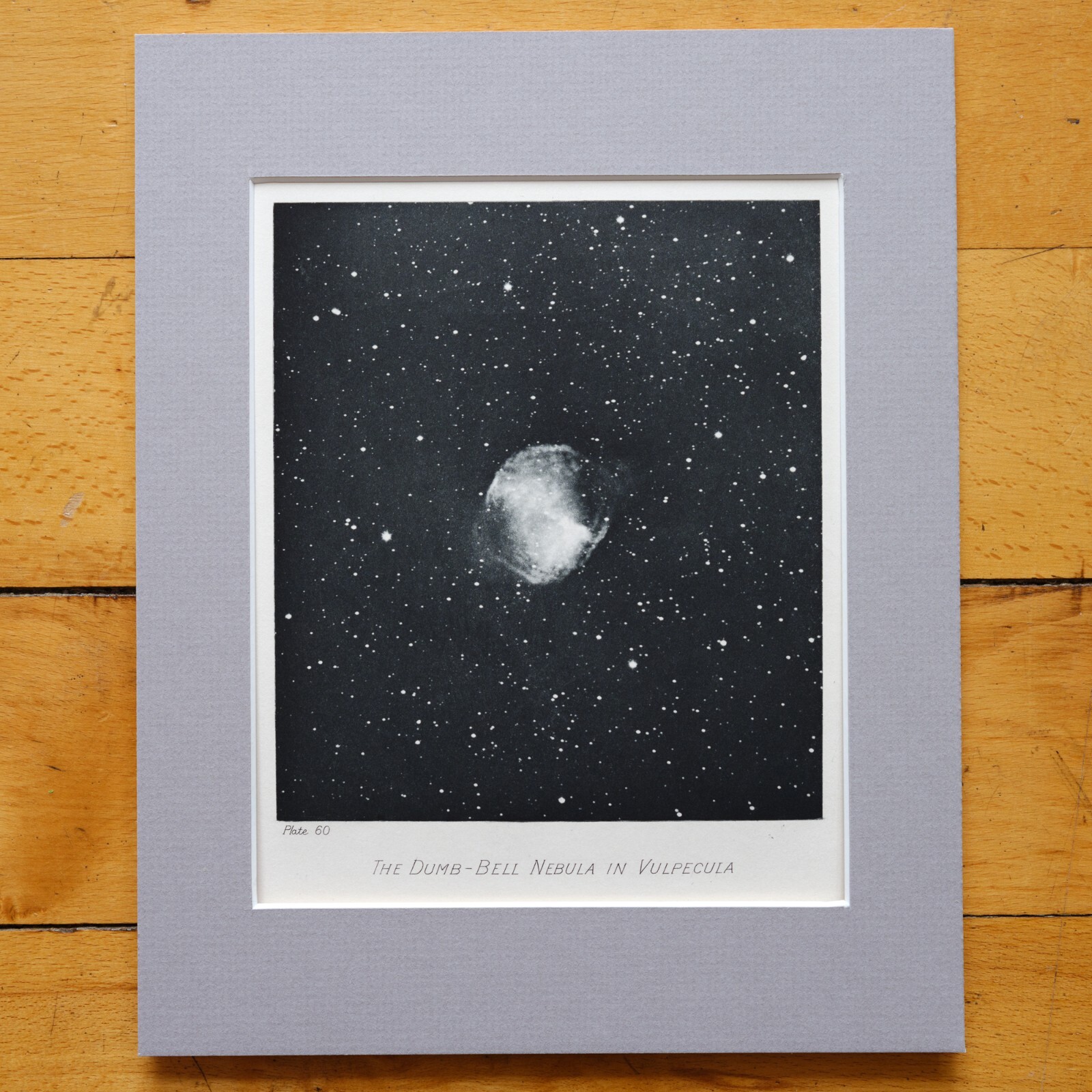 Publications of the Lick Observatory – Dumbbell Nebula – 1908 Photogravure