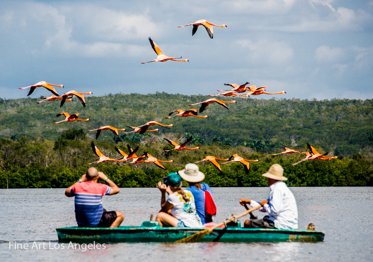 Neil Reichline Photo, Flamingo Watching, Laguna de Guanaroca, Cienfuegos, Cuba
