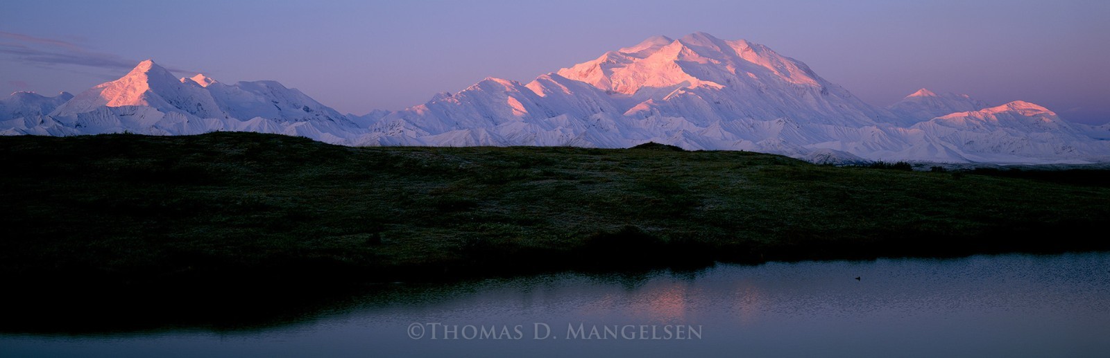 Thomas Mangelsen, “Daybreak on Denali” Framed photograph #26/1200 16″×47″