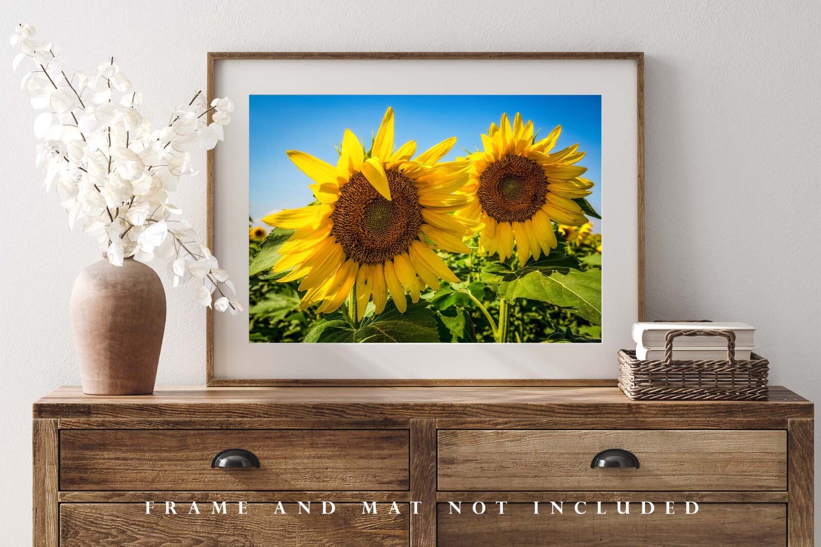 Country Photography Print – Picture of Two Sunflowers in a Field in Kansas
