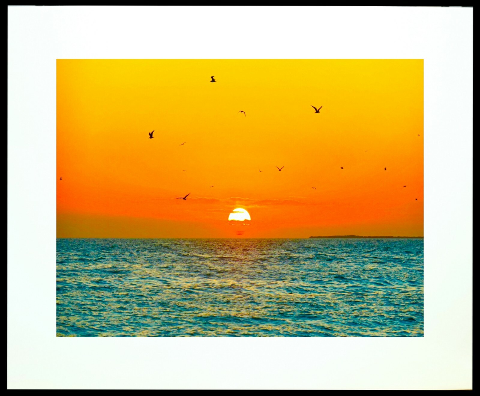Free Birds 11×14″ Matted Art Photo Photograph Print Sunset Artwork Key West Fl