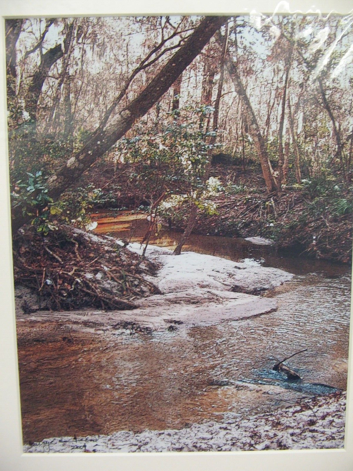 MATTED PHOTOGRAPHY Rocky Forest River 16×20 By Larry Santucci