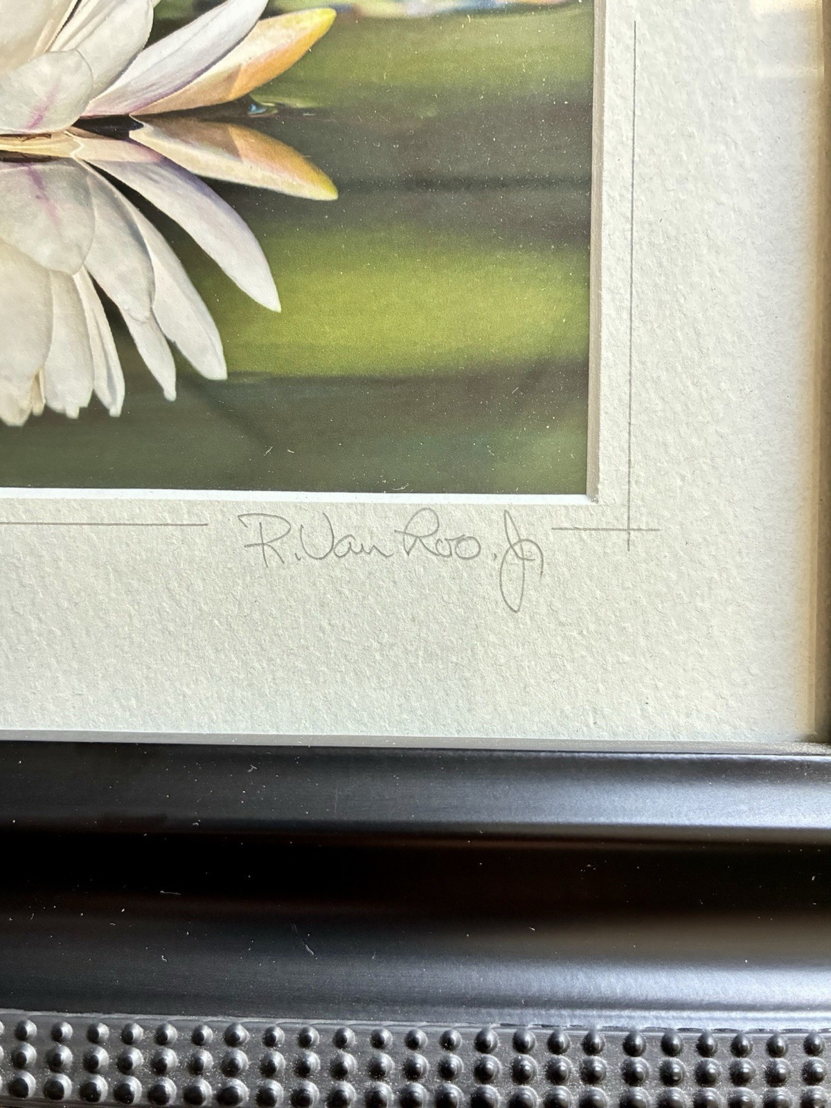 ORIGINAL R VAN LOO JR WATER LILLY SIGNED PHOTO PRINT FRAMED AND MATTED 13″x11″