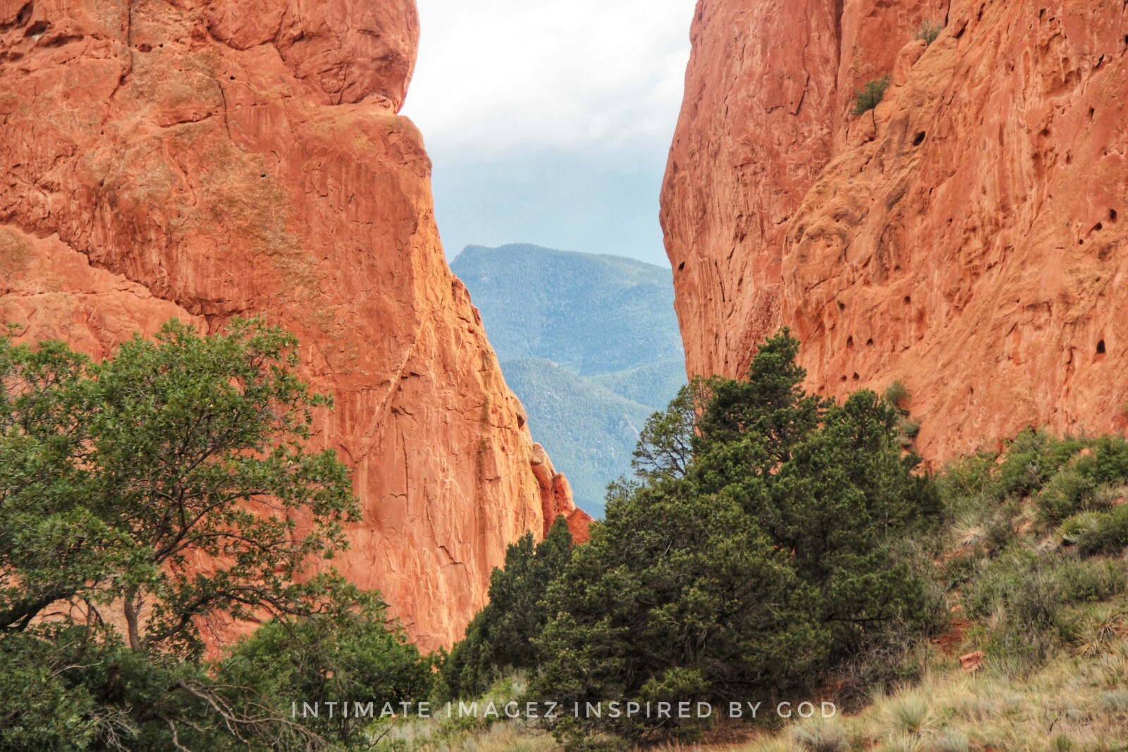 Rocky Mountains, Fine Art Photography, (4×6 Print),(Talitha Tekoah, Artist)