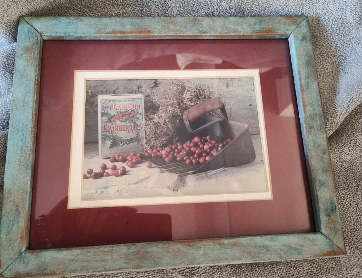 Cape Cod Cranberry Framed Still life print Wood Frame