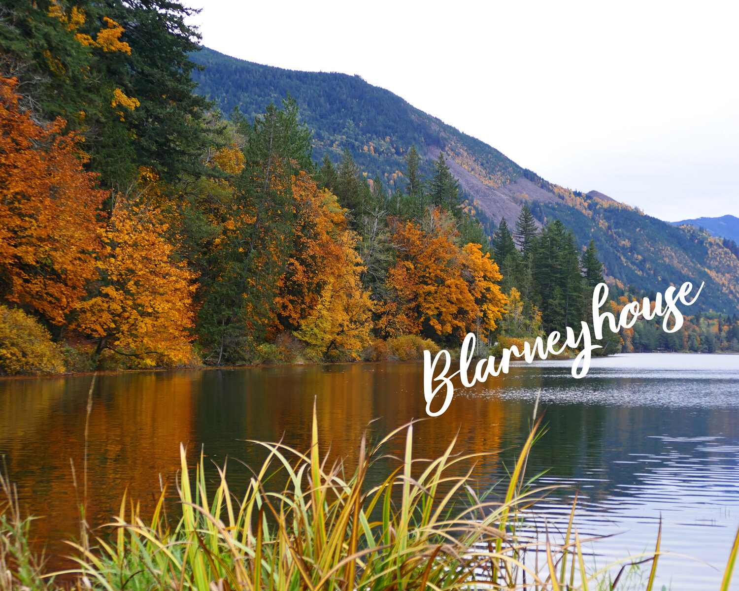BEAUTIFUL FALL/AUTUMN FOLIAGE PACIFIC NORTHWEST SILVER LAKE! 8 x 10 Photo