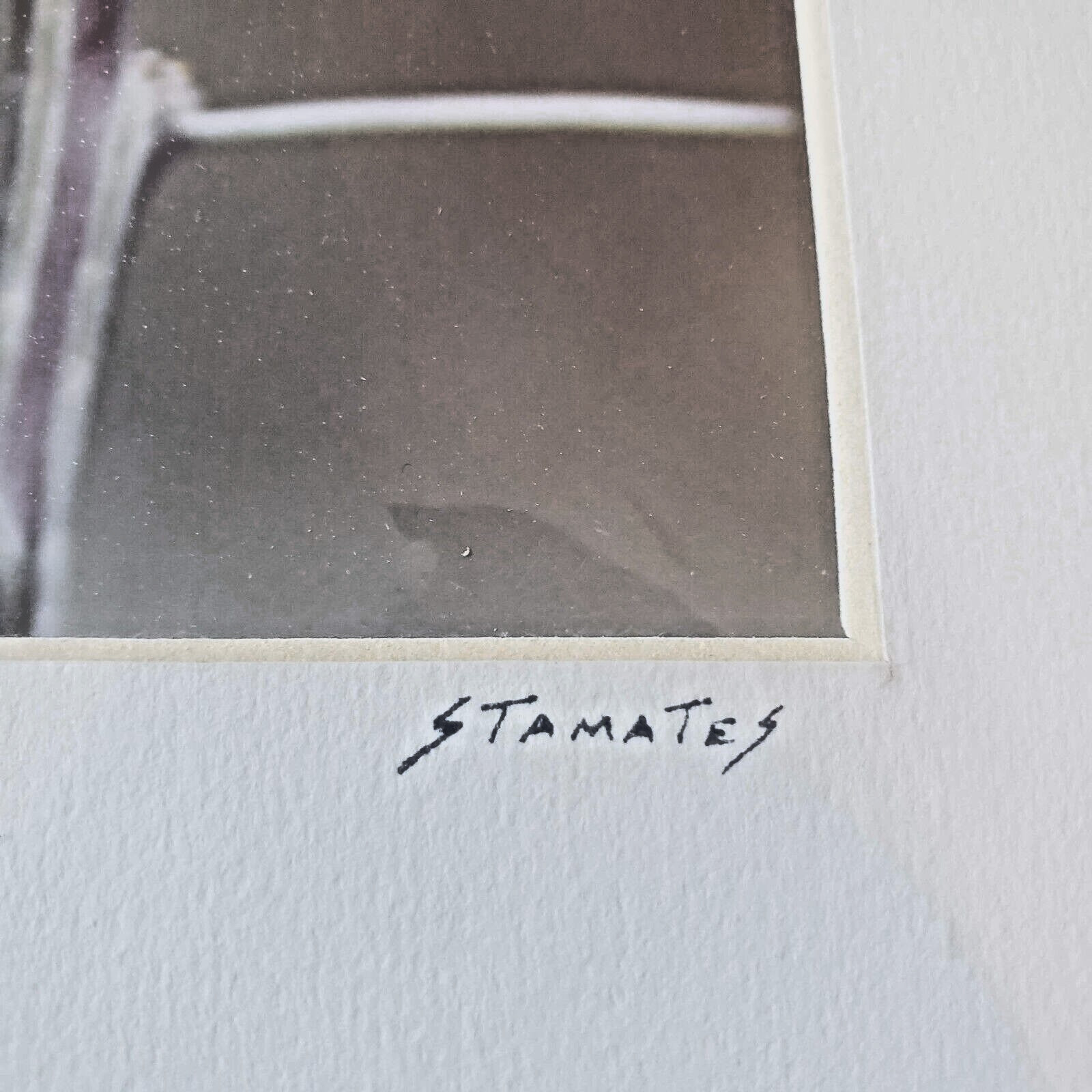 Jim Stamates Calliope Hummingbird Wildlife Low Impact Photography Matted Signed