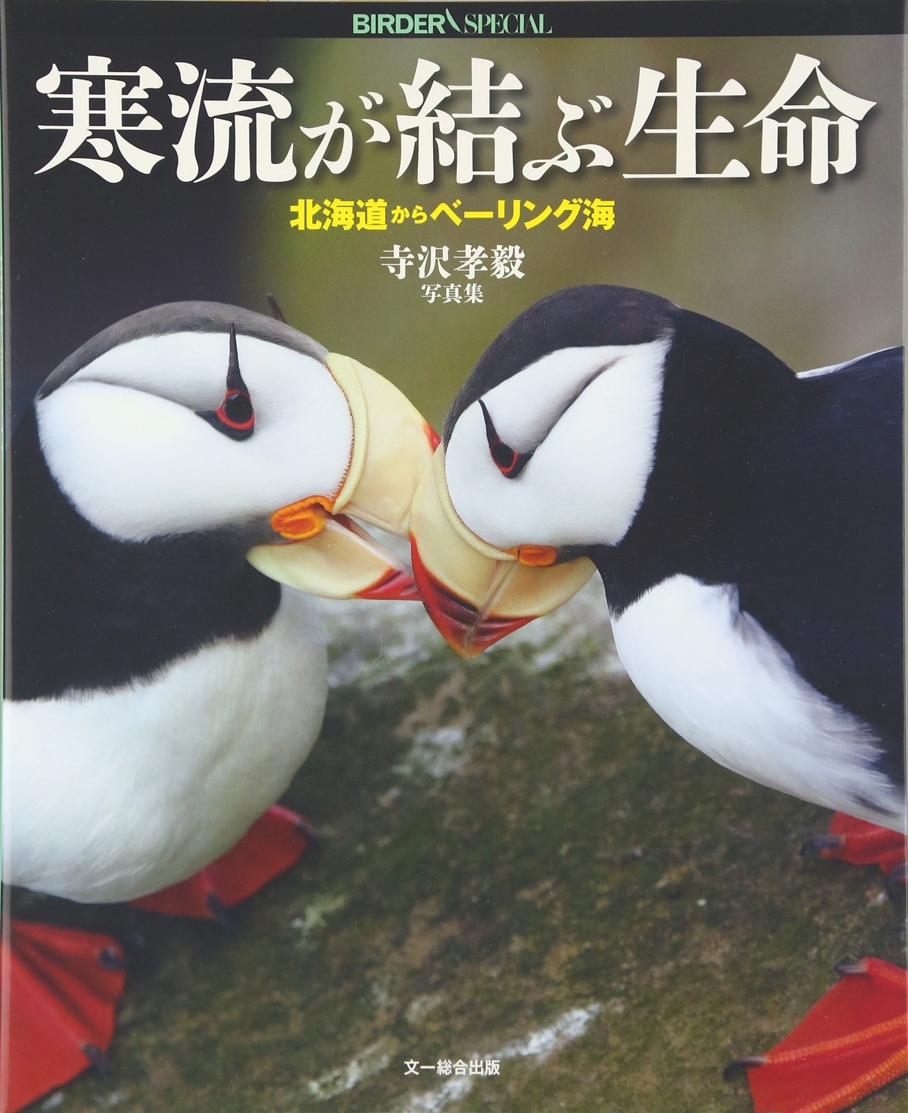 Life Bound by Cold Currents Photo Collection Hokkaido to the Bering Sea