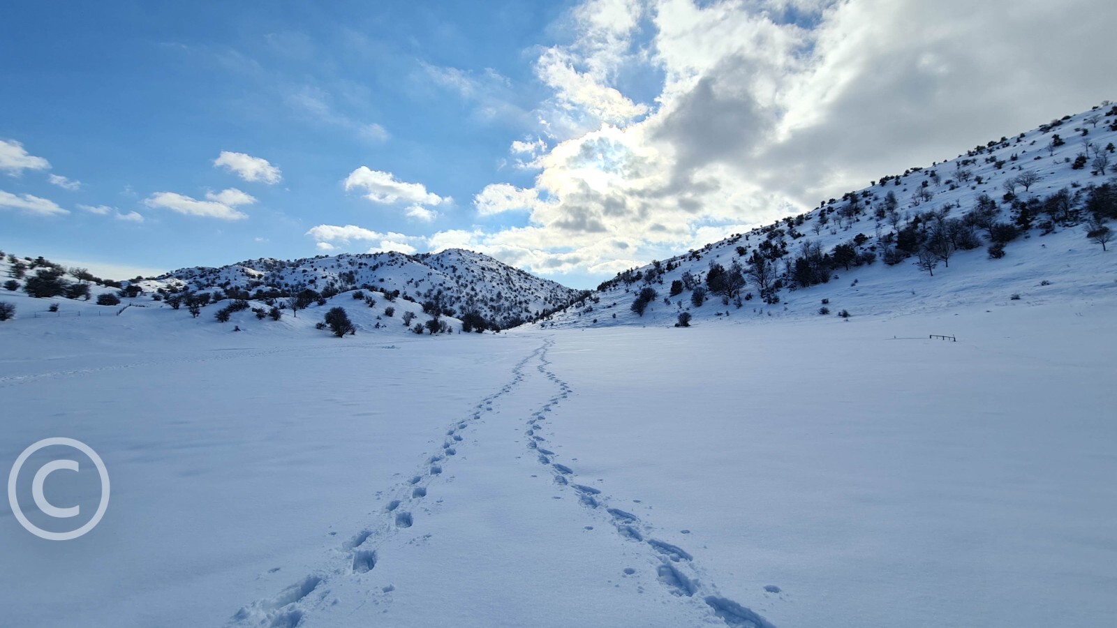 Photo Digital Image Product Illustration, wallpaper, background. Snow in Israel.