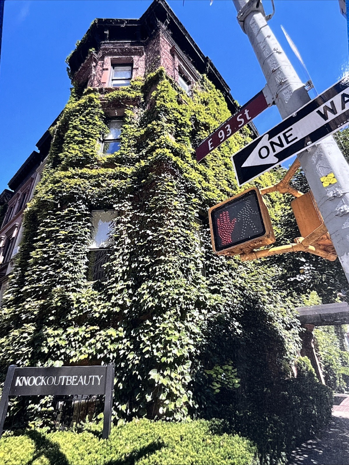 “UES Madison & 93rd St” “IVY KNOCKOUT” Signed ART Photography by SCOTT MITCHELL
