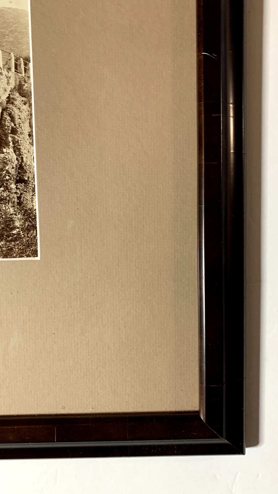 Photograph: JAMES ANDERSEN. “PLUTO.” Framed under Museum glass. 19th c.