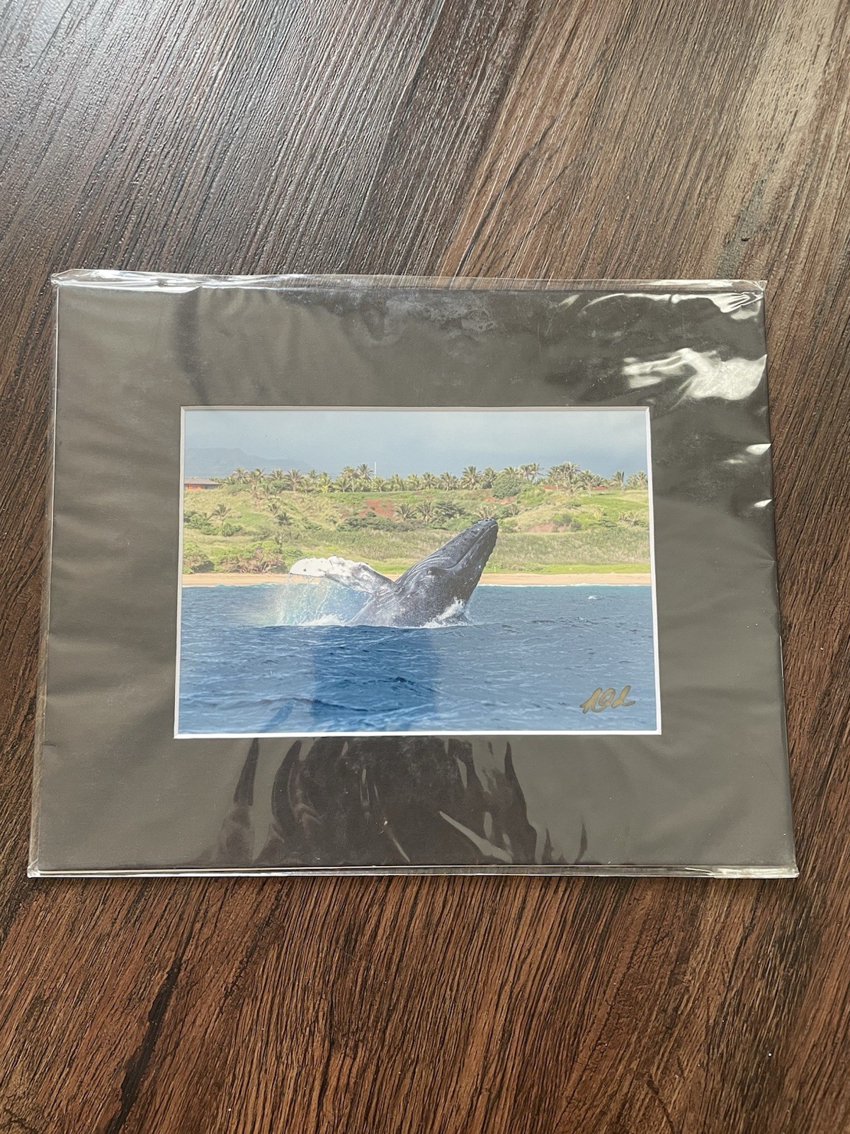 FINE ART PHOTOGRAPHY Kauai Hawaii KERRY ODA Signed NEW 10×8” Whale Ocean